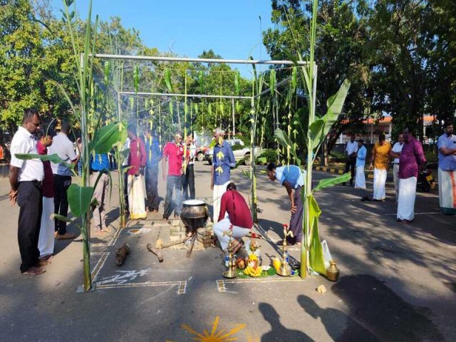 Thaipongal_Festival_2024